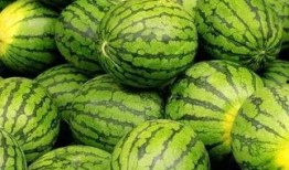 吃瓜网官网免费观看 今日吃瓜,免费畅享全网最新吃瓜资讯